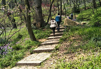 亚布力虎峰民俗文化村第 21 张图片