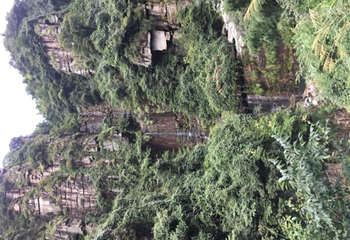 碧龙潭景区第 30 张图片