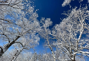 亚雪驿站十里画廊第 24 张图片