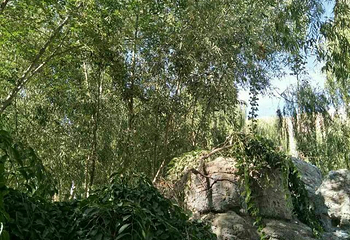 高老庄西游乐园第 19 张图片