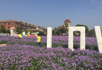 歌斐颂巧克力小镇第 21 张图片