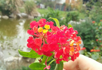 孙膑故里第 4 张图片