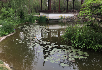 天津南湖绿博园风景区第 34 张图片