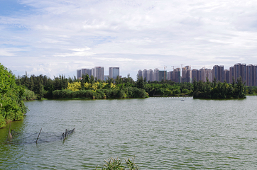 五缘湾湿地公园第 21 张图片