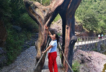 小沟背风景区第 26 张图片