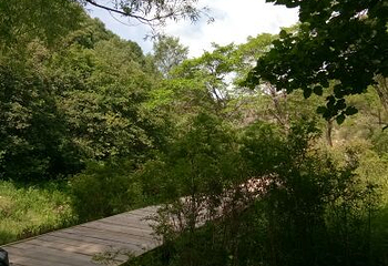 春坤山第 33 张图片