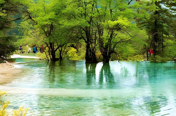 黄龙风景名胜区第 4 张图片