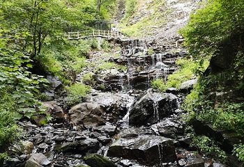 凤凰山国家森林公园第 93 张图片