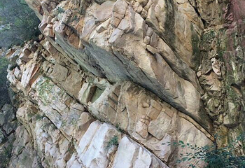 八仙山自然保护区第 22 张图片