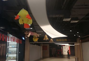 徐州海底世界第 8 张图片