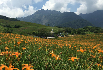 六十石山风景区第 27 张图片