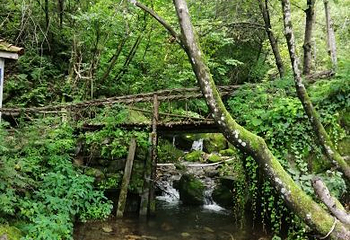 青山沟国家重点风景名胜区第 20 张图片
