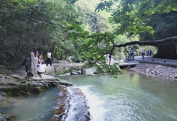 金丝峡景区第 56 张图片