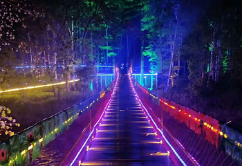 长白山梦幻森林峡谷第 11 张图片