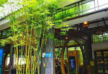 茶翁古镇第 18 张图片