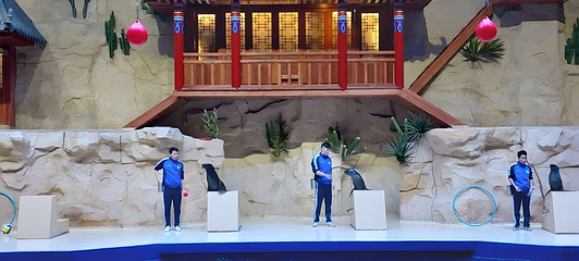 北海海底世界第 80 张图片