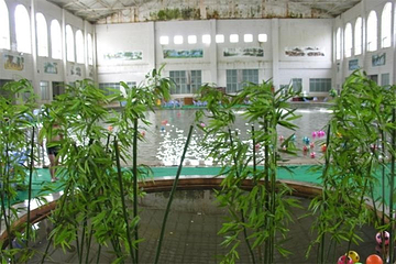 拉萨日多温泉山庄第 19 张图片