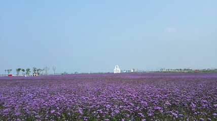 海阳连理岛第 44 张图片