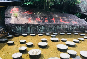 天目山自然保护区第 111 张图片