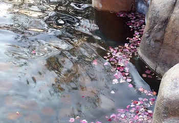 琉球屿第 18 张图片
