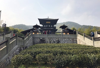 重庆城市精英真人CS铁山坪森林公园店第 13 张图片