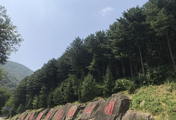 五女峰国家森林公园第 24 张图片