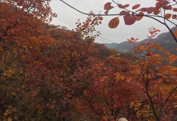 坡峰岭第 60 张图片