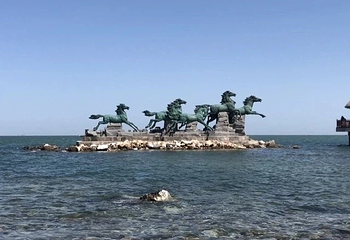 烟台海昌鲸鲨海洋公园第 60 张图片