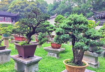 万景山庄第 14 张图片