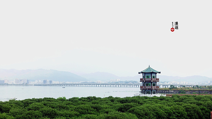 盐洲岛第 18 张图片