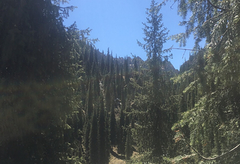 南山牧场西白杨沟景区第 54 张图片