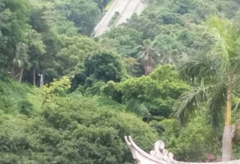 青礁慈济祖宫第 12 张图片