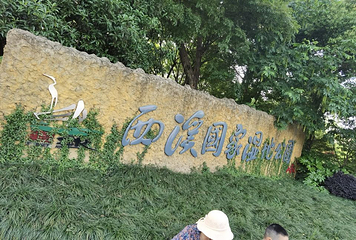 钱塘江第 36 张图片