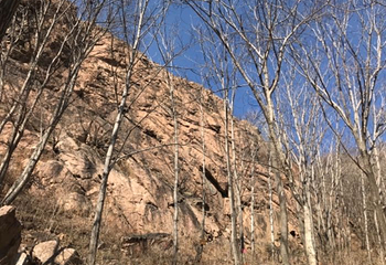 壹台山骆驼峰景区第 10 张图片