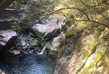 安吉龙王山风景区第 20 张图片