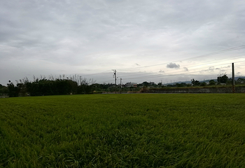 湖口老街第 4 张图片
