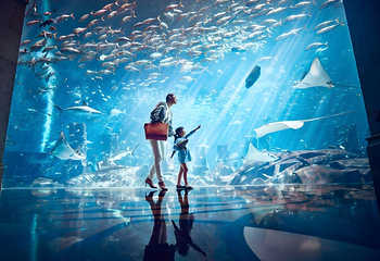 三亚亚特兰蒂斯失落的空间水族馆第 37 张图片