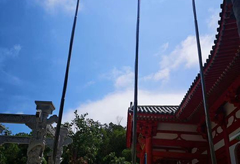海棠广场第 36 张图片