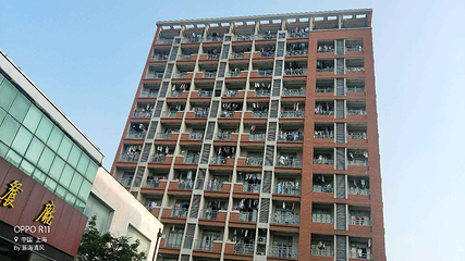 上海师范大学第 9 张图片
