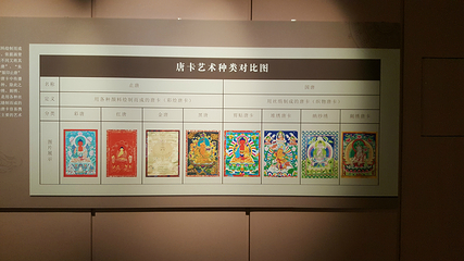 青海省博物馆第 38 张图片