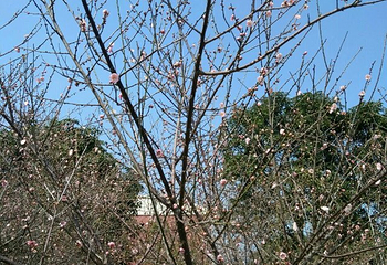 福友生态农场第 21 张图片
