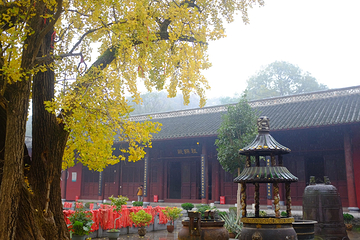 玉泉寺第 2 张图片