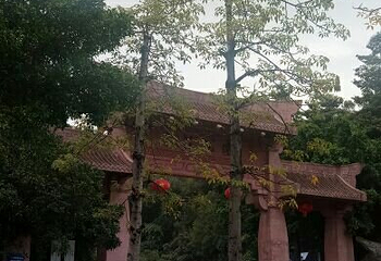 榴花塔第 4 张图片