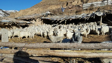采凉山第 8 张图片
