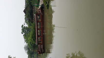 西溪湿地印象摇橹船第 22 张图片