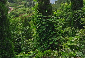 太行山大峡谷第 52 张图片