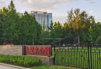大望京公园第 11 张图片