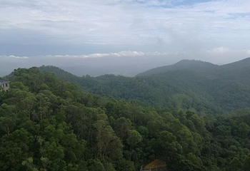 大雁山风景区第 34 张图片