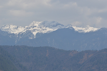 碧罗雪山第 7 张图片