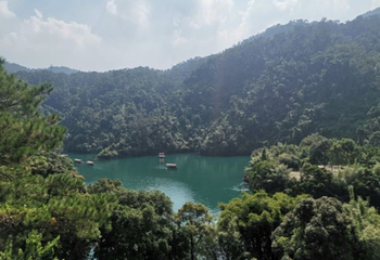 鼎湖山第 64 张图片